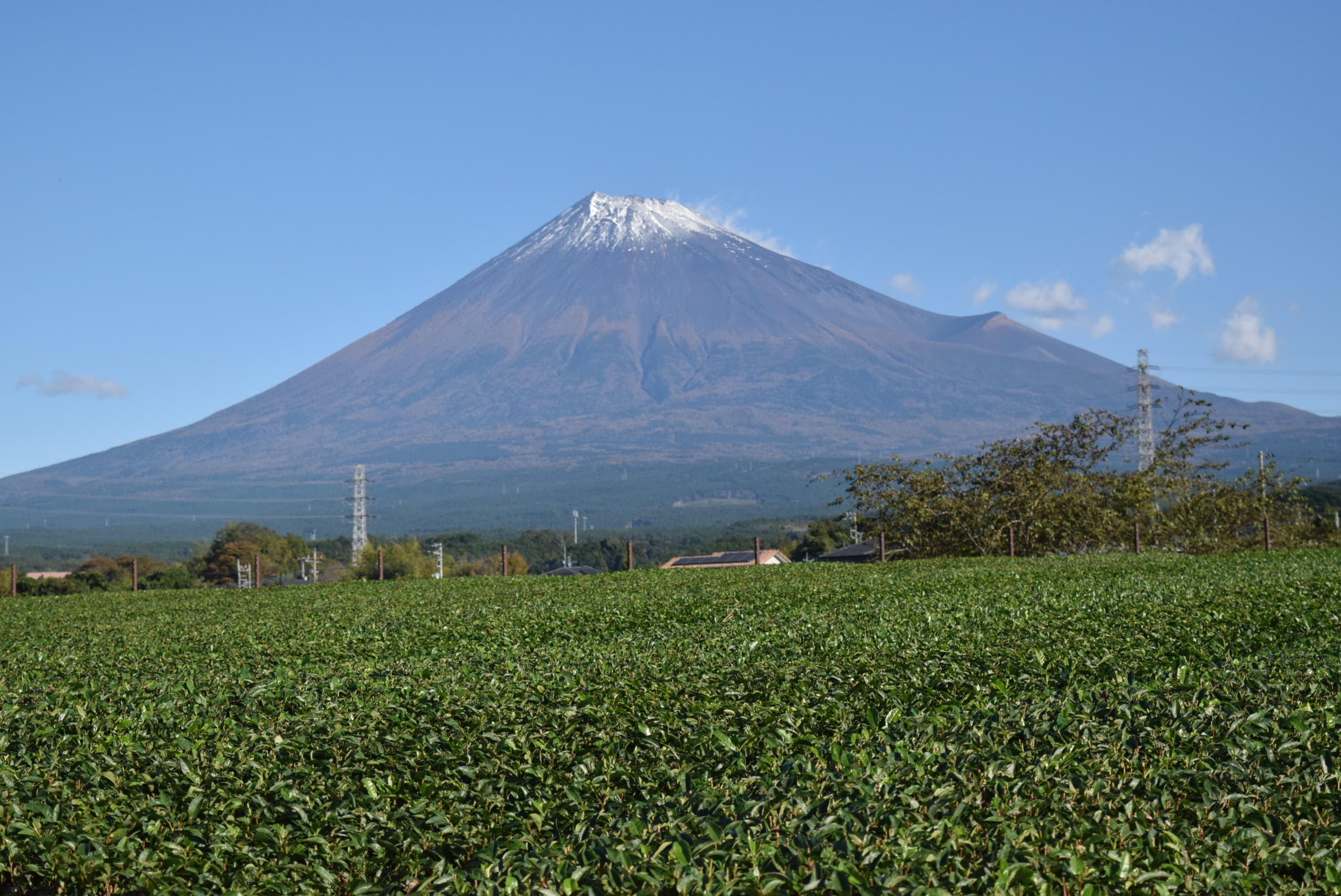 Mt. Fuji Viewpoint